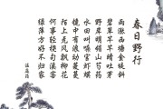 3月20日，一场春天的盛宴绽放